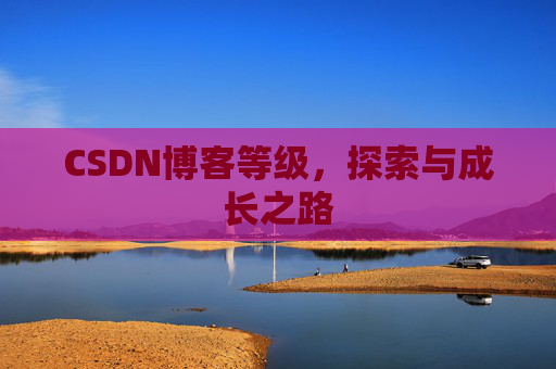 CSDN博客等级，探索与成长之路